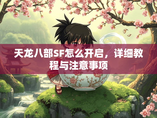 天龙八部SF怎么开启，详细教程与注意事项