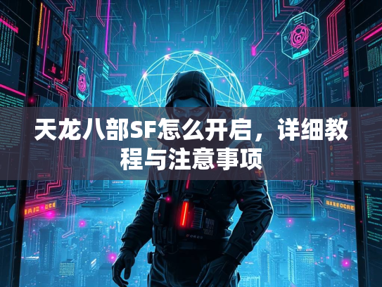 天龙八部SF怎么开启，详细教程与注意事项  第1张