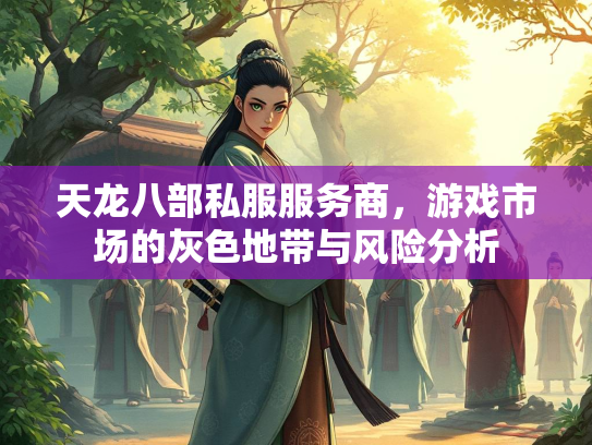 天龙八部私服服务商，游戏市场的灰色地带与风险分析