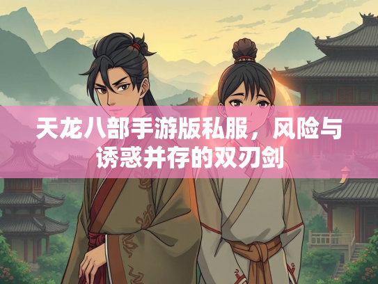 天龙八部手游版私服，风险与诱惑并存的双刃剑  第1张
