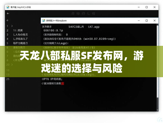天龙八部私服SF发布网，游戏迷的选择与风险  第3张