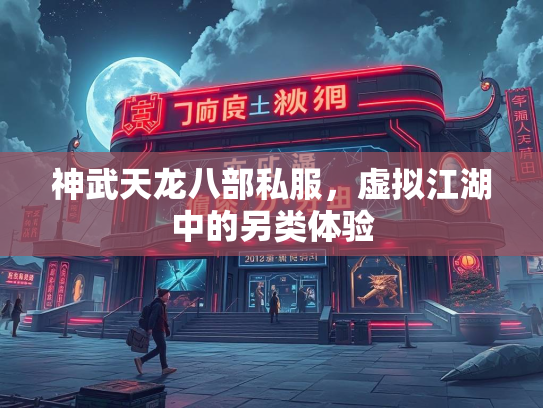 神武天龙八部私服，虚拟江湖中的另类体验  第1张