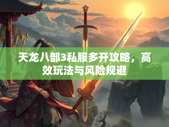 天龙八部3私服多开攻略，高效玩法与风险规避  第2张