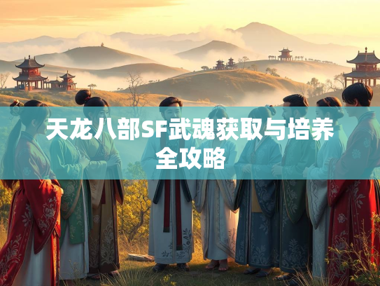 天龙八部SF武魂获取与培养全攻略  第1张