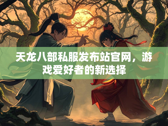 天龙八部私服发布站官网，游戏爱好者的新选择  第2张