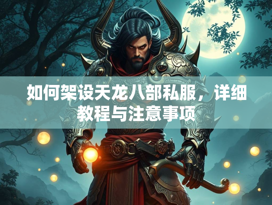 如何架设天龙八部私服，详细教程与注意事项  第2张