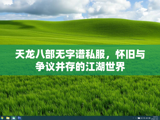 天龙八部无字谱私服，怀旧与争议并存的江湖世界