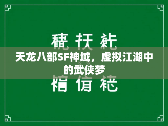 天龙八部SF神域，虚拟江湖中的武侠梦