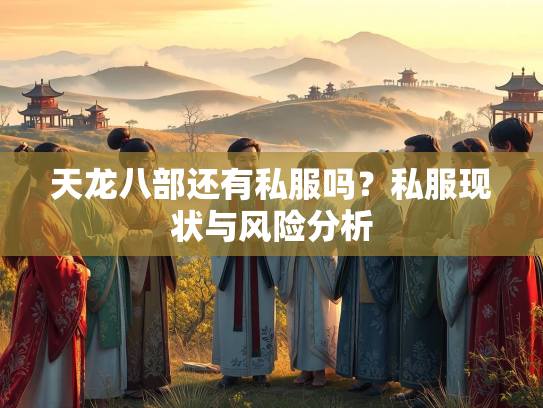 天龙八部还有私服吗？私服现状与风险分析  第3张