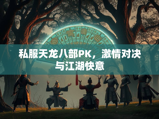 私服天龙八部PK，激情对决与江湖快意  第1张