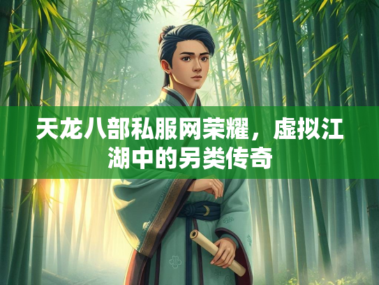 天龙八部私服网荣耀，虚拟江湖中的另类传奇  第4张