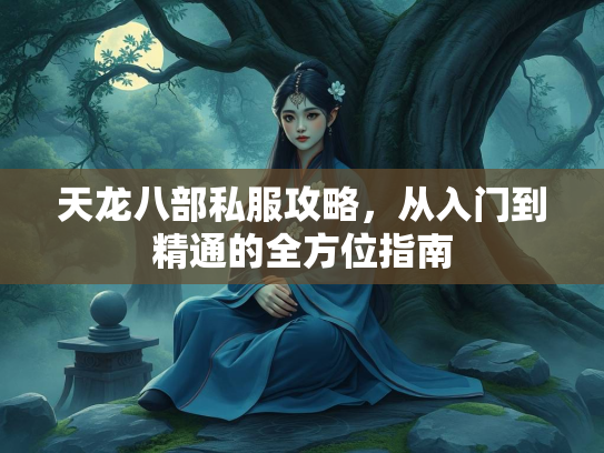 天龙八部私服攻略，从入门到精通的全方位指南