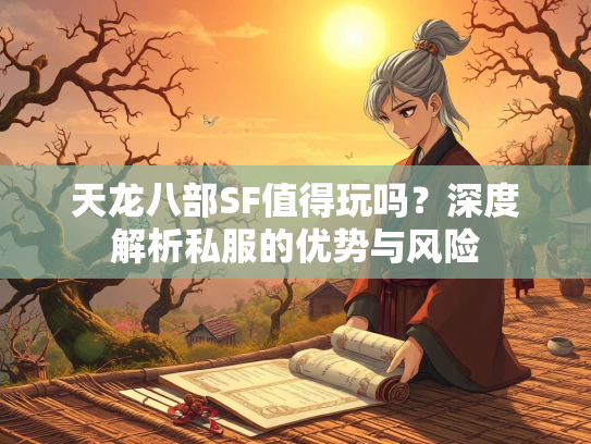 天龙八部SF值得玩吗？深度解析私服的优势与风险  第1张