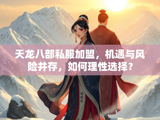 天龙八部私服加盟，机遇与风险并存，如何理性选择？  第4张