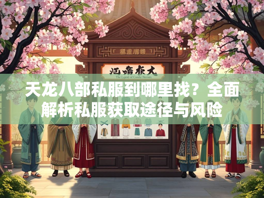 天龙八部私服到哪里找？全面解析私服获取途径与风险  第3张