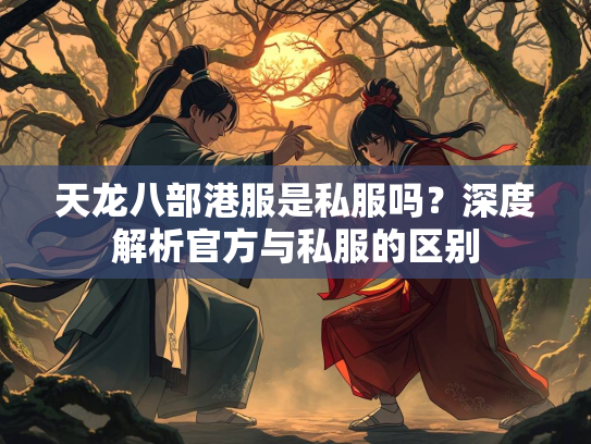 天龙八部港服是私服吗？深度解析官方与私服的区别  第3张