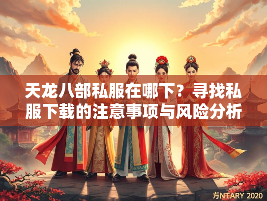 天龙八部私服在哪下？寻找私服下载的注意事项与风险分析  第5张