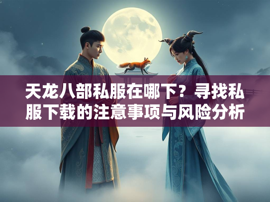 天龙八部私服在哪下？寻找私服下载的注意事项与风险分析  第1张