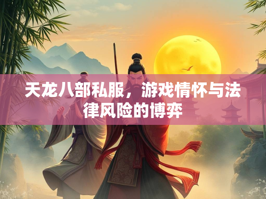 天龙八部私服，游戏情怀与法律风险的博弈  第3张