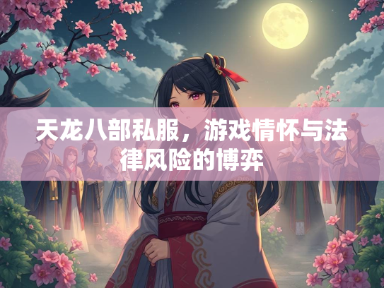 天龙八部私服，游戏情怀与法律风险的博弈  第1张