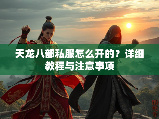 天龙八部私服怎么开的？详细教程与注意事项  第2张