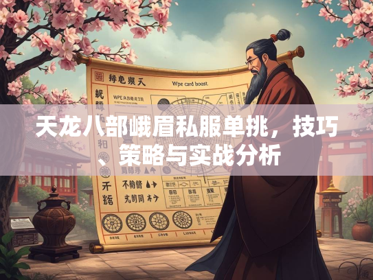 天龙八部峨眉私服单挑，技巧、策略与实战分析  第3张