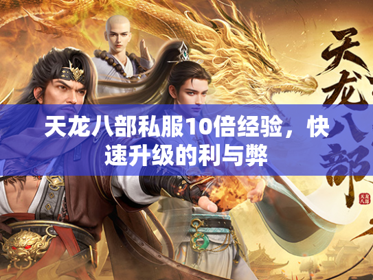 天龙八部私服10倍经验，快速升级的利与弊