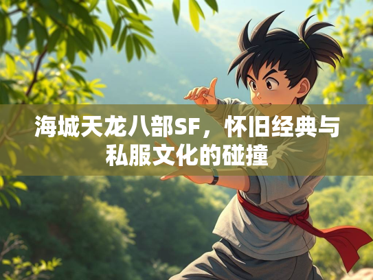 海城天龙八部SF，怀旧经典与私服文化的碰撞  第2张