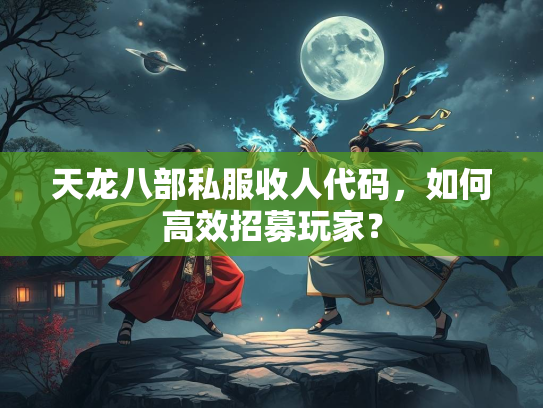 天龙八部私服收人代码，如何高效招募玩家？  第2张