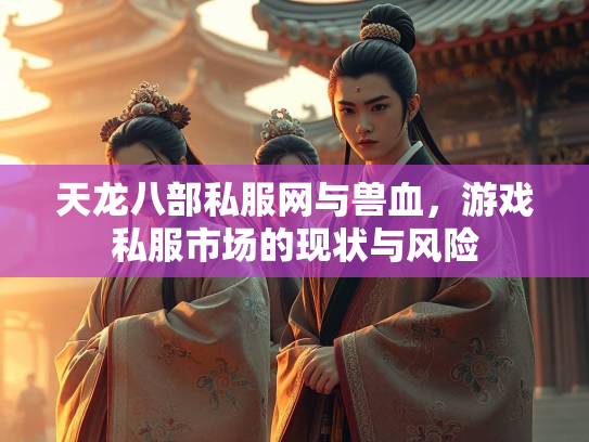 天龙八部私服网与兽血，游戏私服市场的现状与风险  第1张