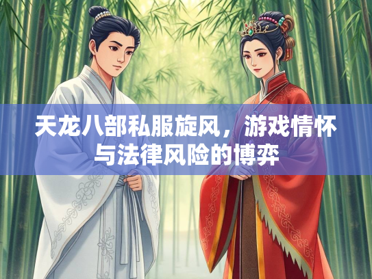 天龙八部私服旋风，游戏情怀与法律风险的博弈  第2张