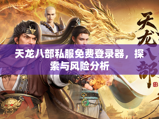 天龙八部私服免费登录器，探索与风险分析  第1张