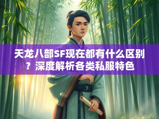 天龙八部SF现在都有什么区别？深度解析各类私服特色  第3张