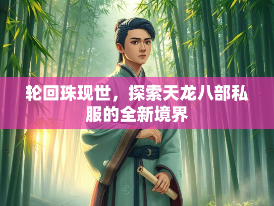 轮回珠现世，探索天龙八部私服的全新境界  第2张
