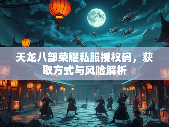 天龙八部荣耀私服授权码，获取方式与风险解析  第3张