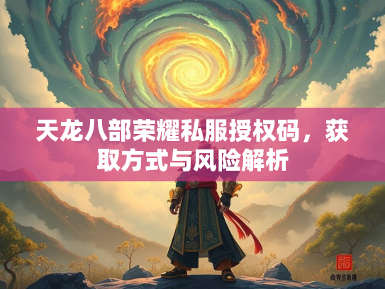 天龙八部荣耀私服授权码，获取方式与风险解析  第5张