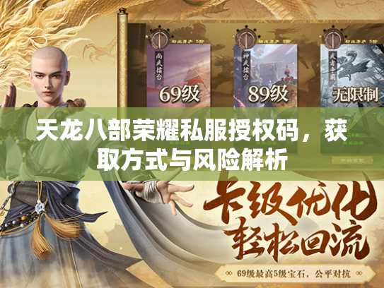 天龙八部荣耀私服授权码，获取方式与风险解析  第1张