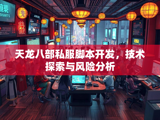 天龙八部私服脚本开发，技术探索与风险分析