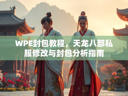 WPE封包教程，天龙八部私服修改与封包分析指南  第4张