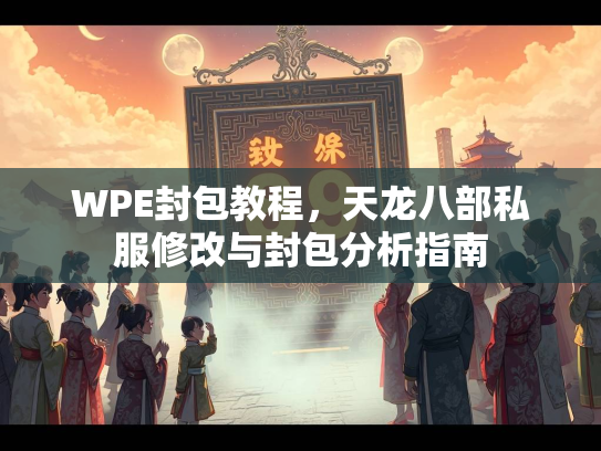 WPE封包教程，天龙八部私服修改与封包分析指南  第1张