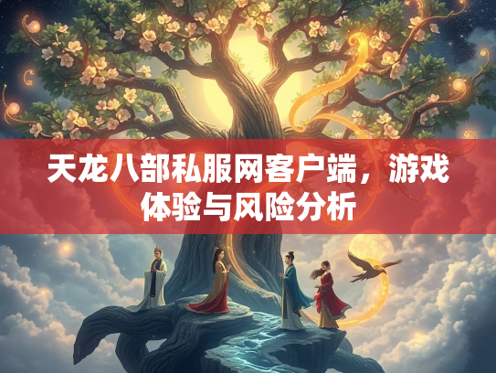 天龙八部私服网客户端，游戏体验与风险分析  第5张