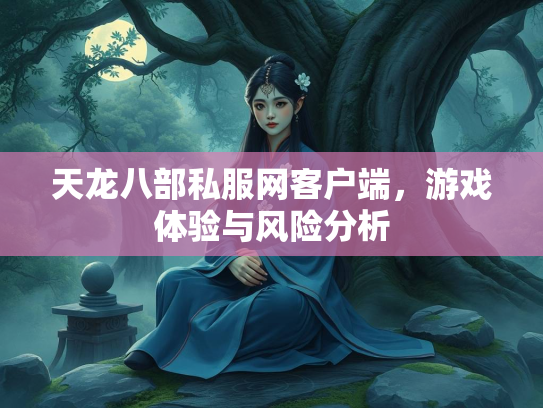 天龙八部私服网客户端，游戏体验与风险分析