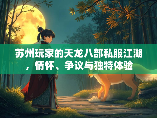 苏州玩家的天龙八部私服江湖，情怀、争议与独特体验  第3张