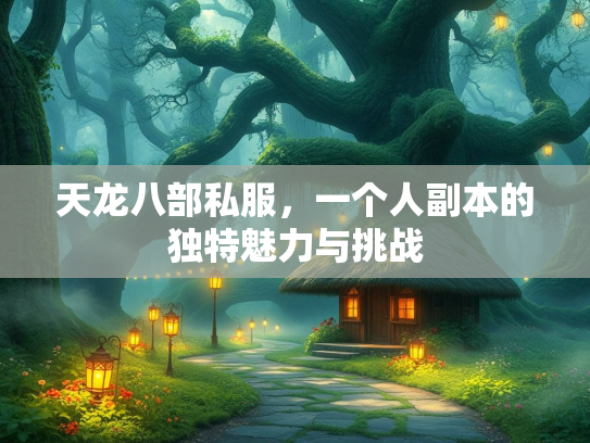 天龙八部私服，一个人副本的独特魅力与挑战