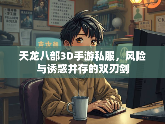 天龙八部3D手游私服，风险与诱惑并存的双刃剑