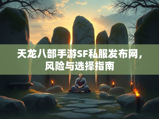 天龙八部手游SF私服发布网，风险与选择指南  第4张