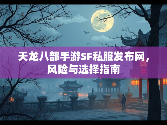 天龙八部手游SF私服发布网，风险与选择指南  第5张
