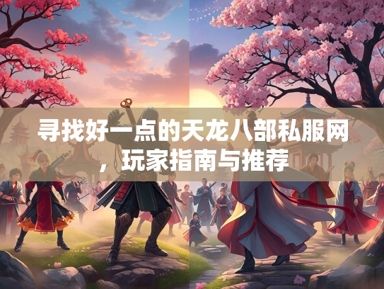 寻找好一点的天龙八部私服网，玩家指南与推荐