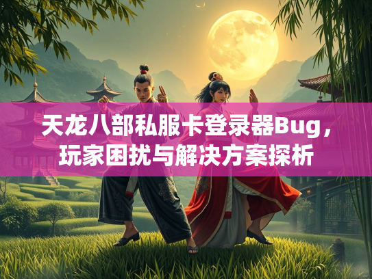 天龙八部私服卡登录器Bug，玩家困扰与解决方案探析  第4张
