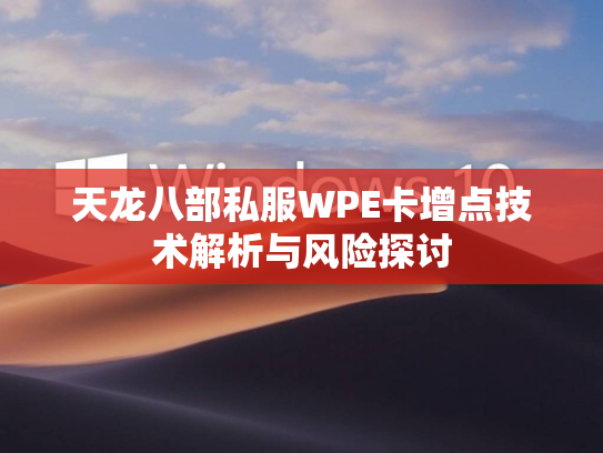 天龙八部私服WPE卡增点技术解析与风险探讨